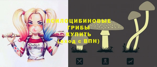 гидропоника Аркадак