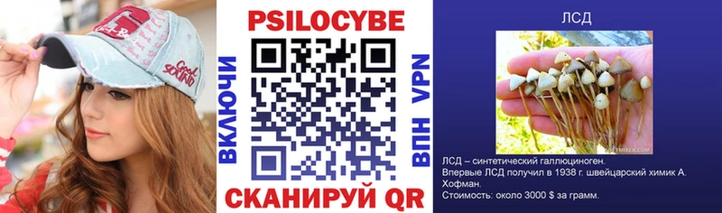купить закладку  Ковров  Псилоцибиновые грибы Cubensis 
