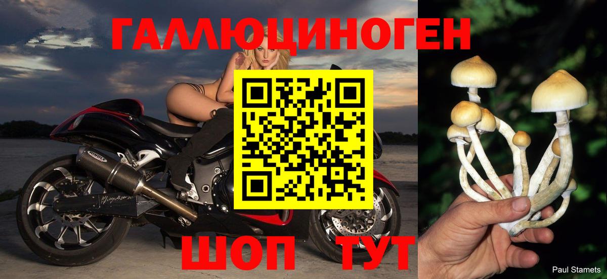 Псилоцибиновые грибы мухоморы Ковров