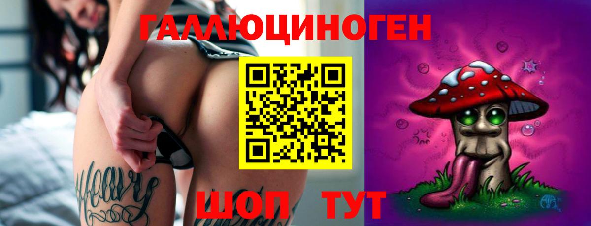 даркнет сайт  Псилоцибиновые грибы ЛСД  Вход с VPN  Ковров 